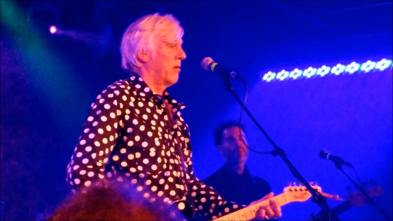Robyn Hitchcock and his L.A. Squires - 