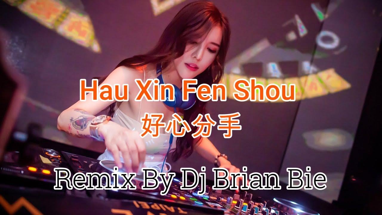 Hau Xin Fen Shou - 好心分手 V2 (Electro Manyao) By Dj Brian Bie #manyaoremix #manyaodj #dj #djremix