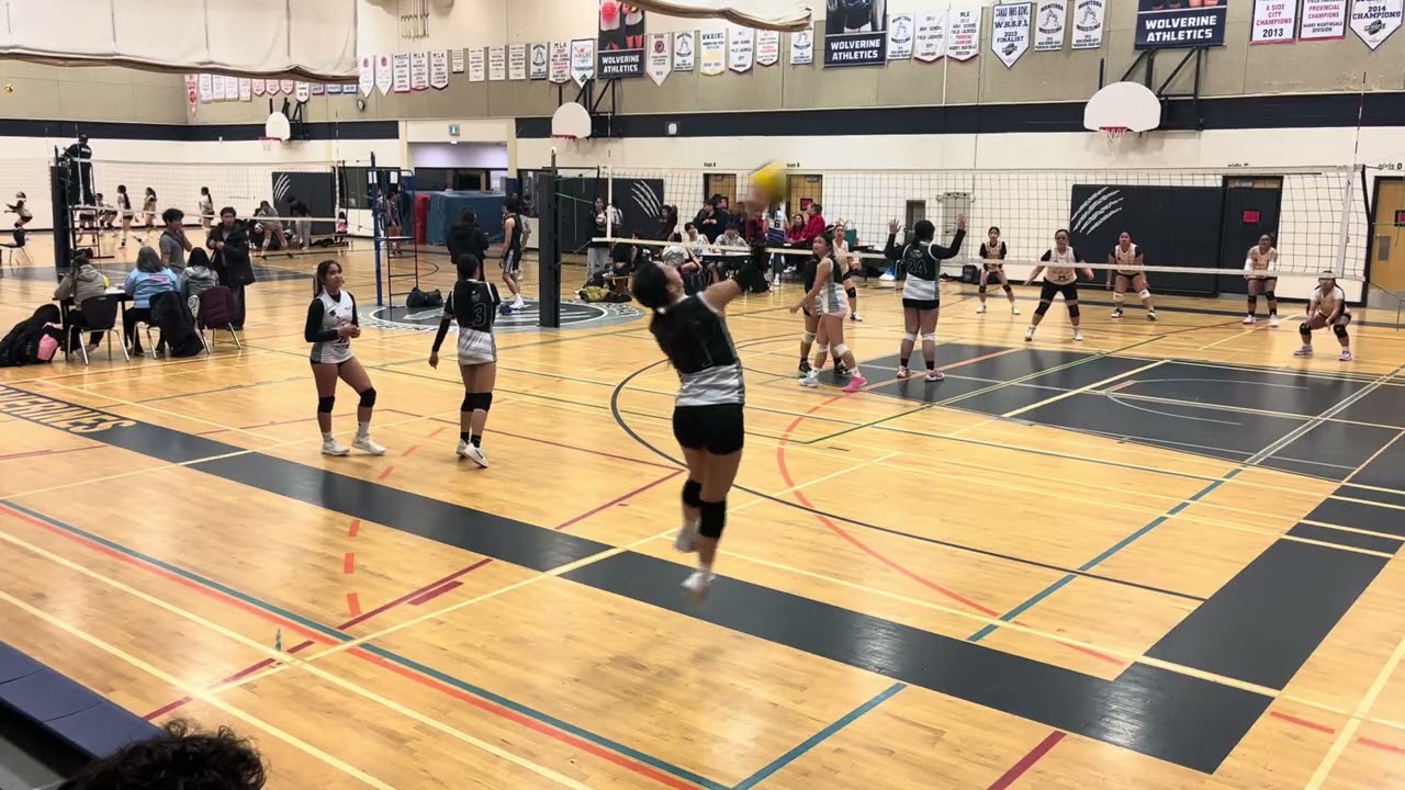 LPAM Peach vs White (Set 1)