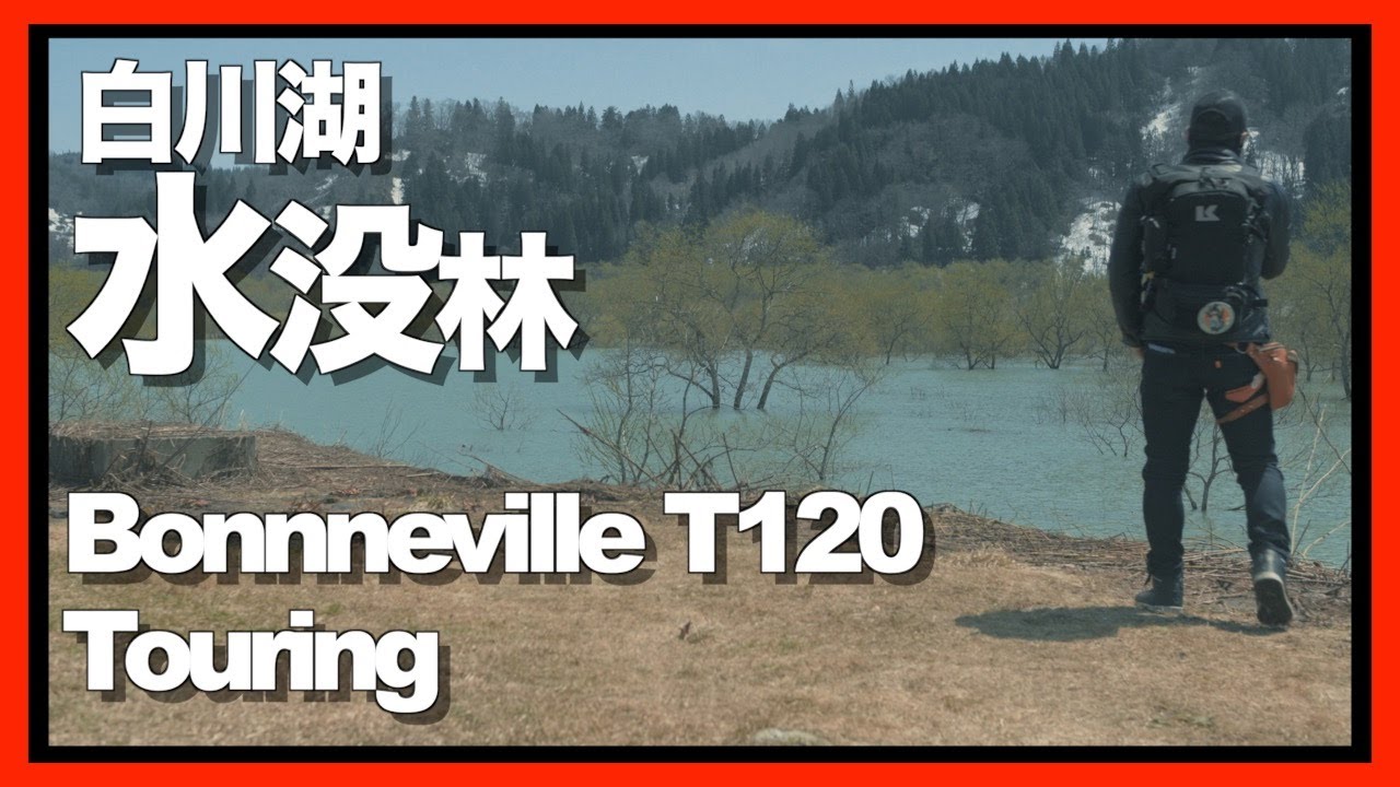 【白川湖水没林】BonnevilleT120で白川湖ダムに水没林を見に行く【山形バイクツーリング】
