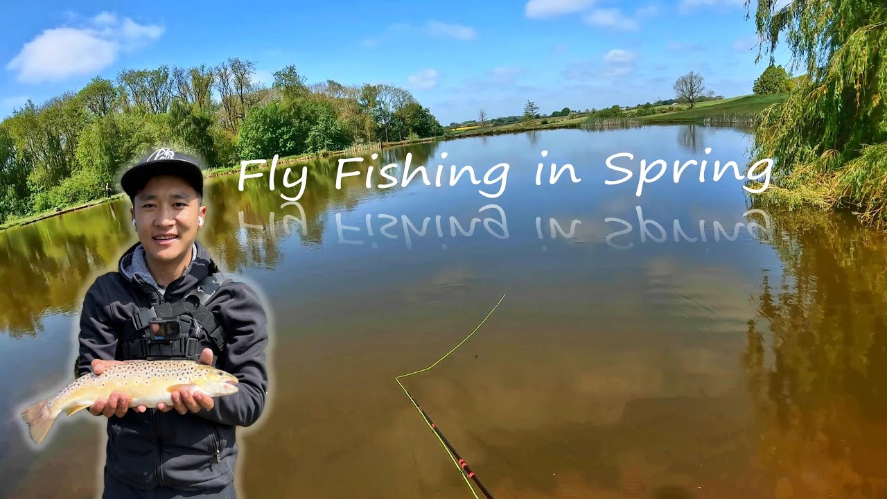 Spring fly fishing at Loynton Fly Fishery | 3 different types of trout | Brown, Blue and Rainbow