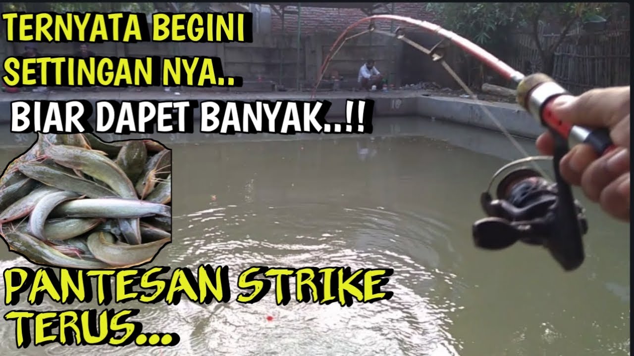 LANGSUNG TEST..!! MANCING LELE PAKAI CARA INI DAPAT BANYAK BANGET | DASARAN VS GANTUNG