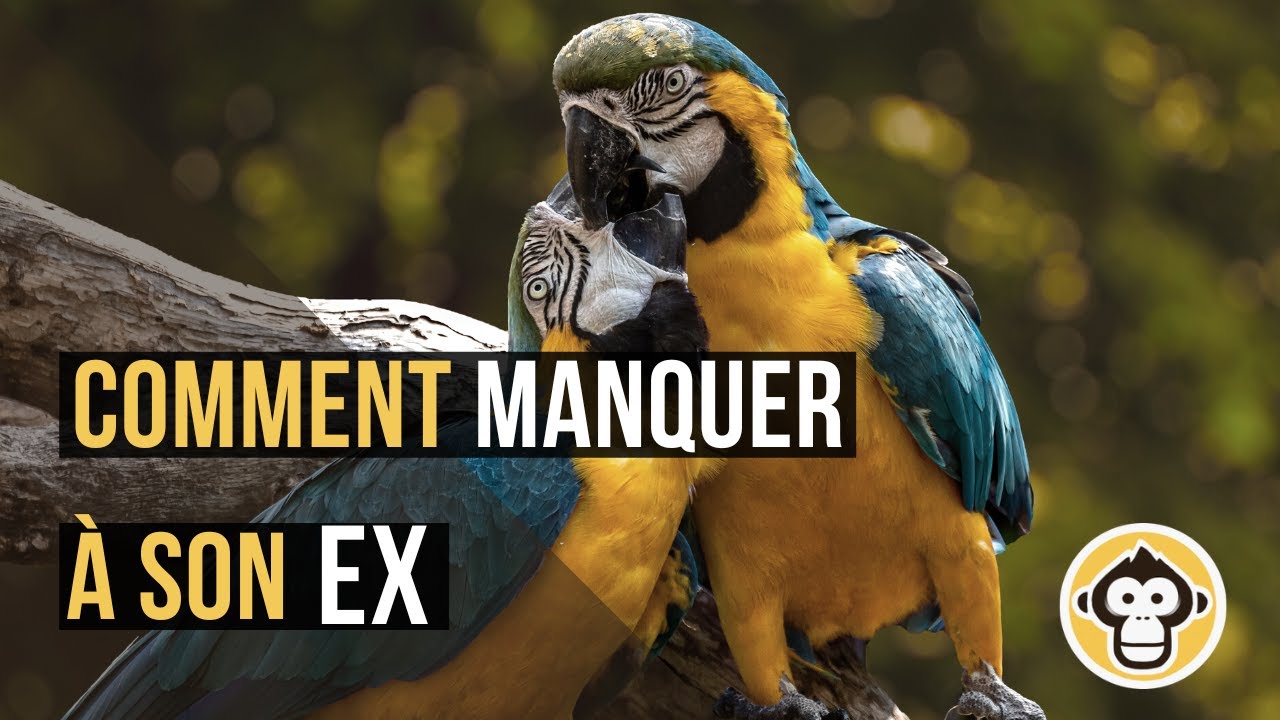 Comment manquer à son EX
