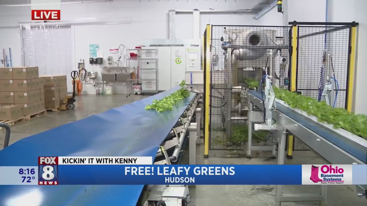 Kenny's surrounded by salad at Free! Leafy Greens