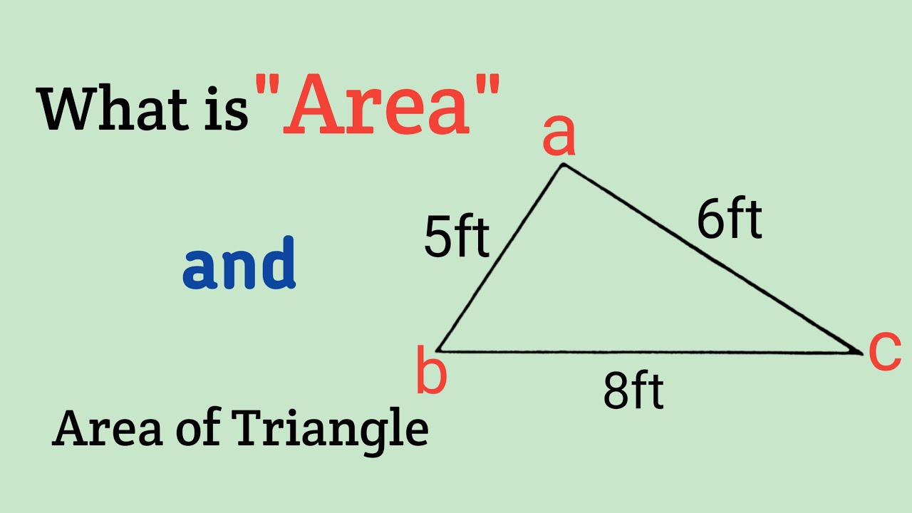 What is Area? || How to Find the Area of a Triangle ||
