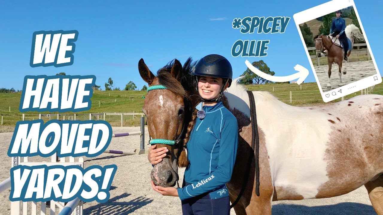 WE MOVED YARDS! + a very *SPICEY* pony!