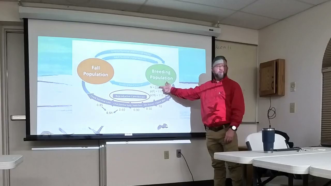 Gamebird Population Dynamics 101