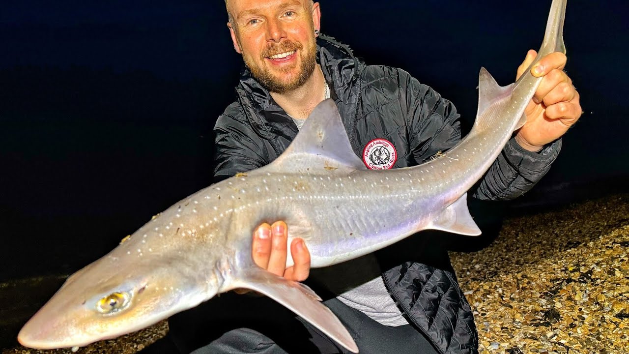 Spontaneous hound fishing straight after work
