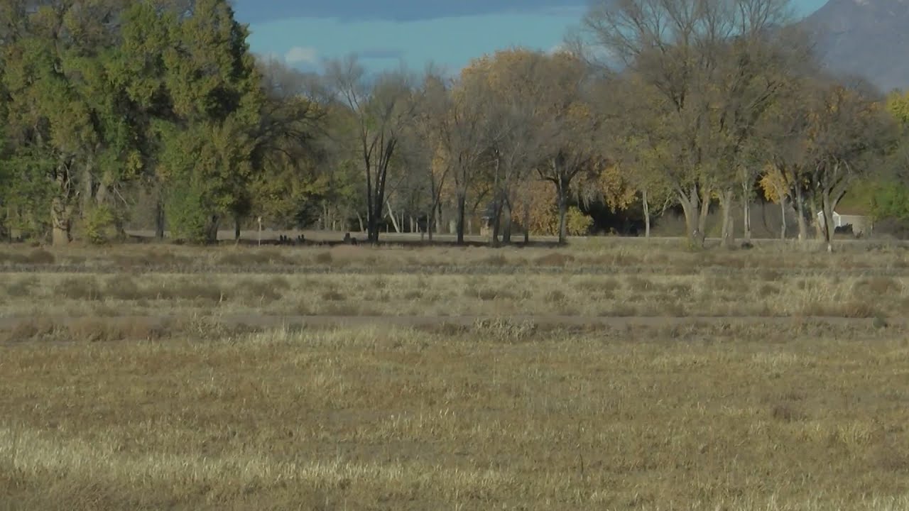 What does the Soil and Water Conservation District do?
