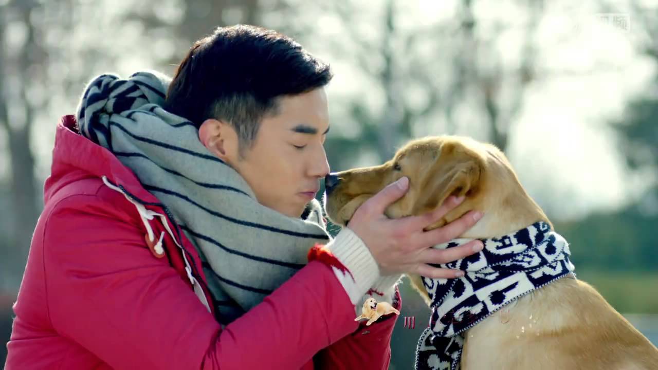 神犬小七 MV 胡夏献唱传递爱宠快乐