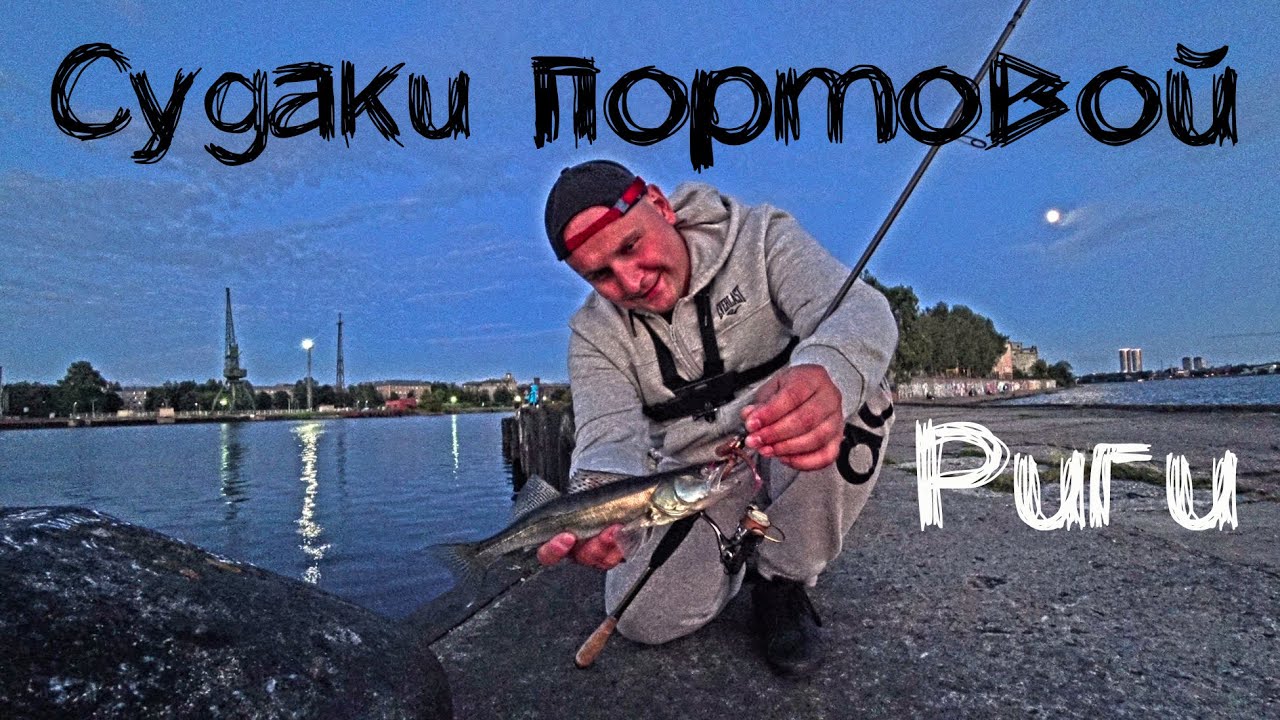 Ловля СУДАКА на ДЖИГ в центре города Рига летом на закате! В ПОРТУ реально много судака!
