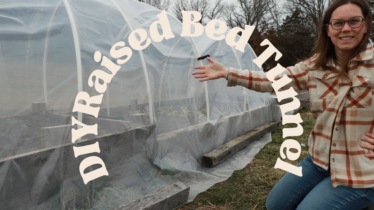 Easy DIY Raised Bed Tunnel: Plant cool season crops earlier!