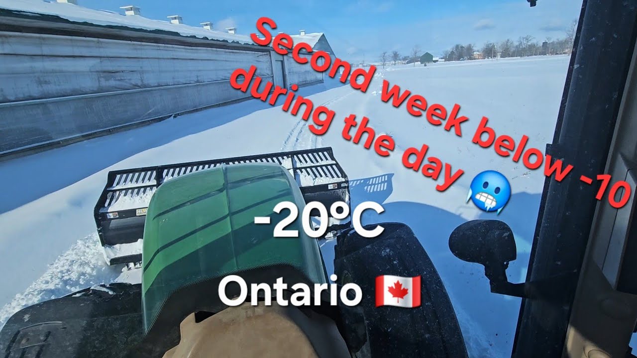 # 55 It's cold 🥶 outside 