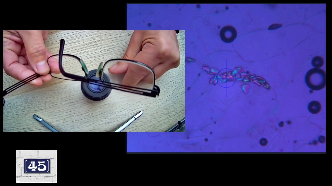 Digital cameras and eyepieces - Light Microscope Training