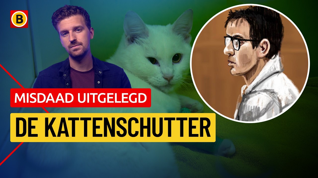 Waarom schoot deze man uit China op katten in Eindhoven?