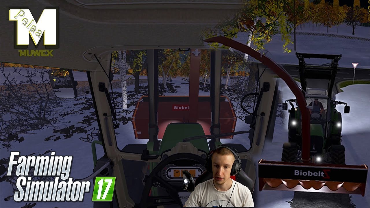 FS17 - Lumilinkousta ja linttailua