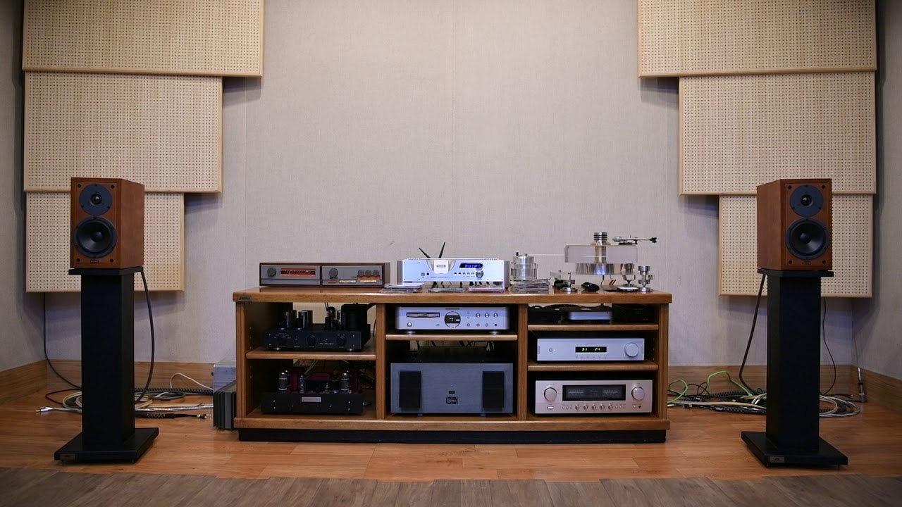 DYNAUDIO Contour 1 1 다인 컨투어
