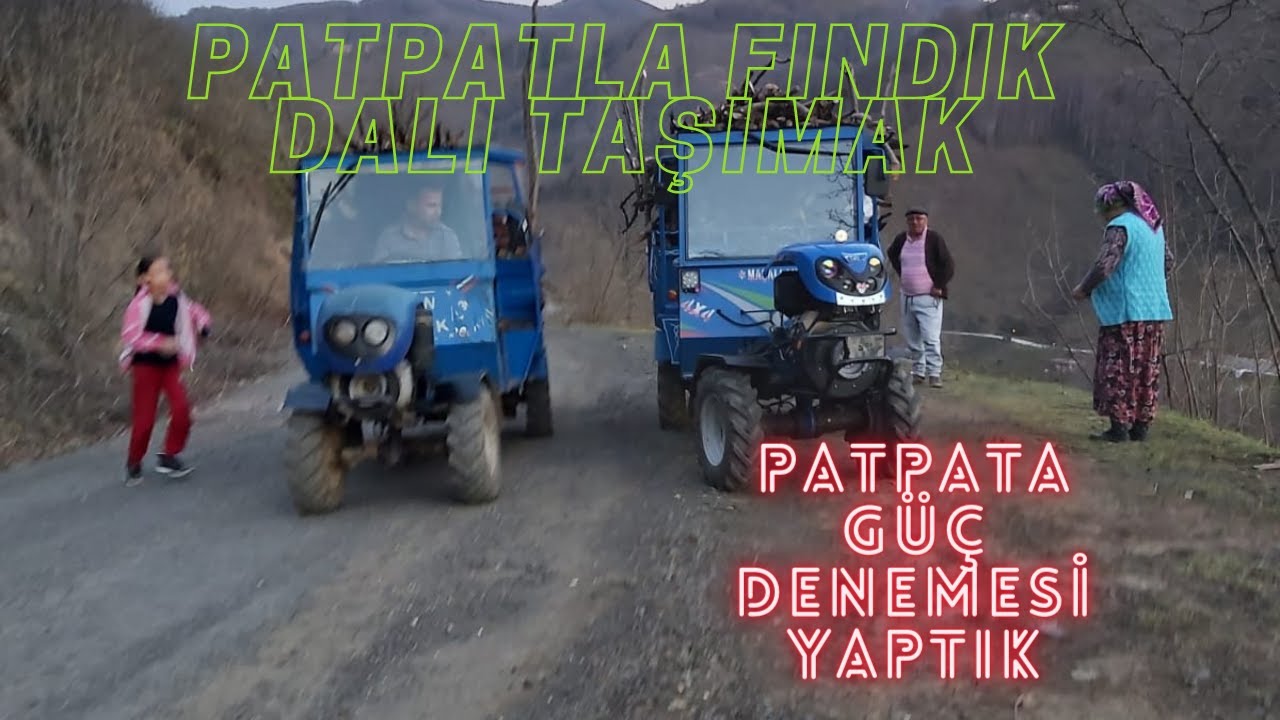 PATPATLA FINDIK DALI TAŞIMAK (AZ KALSIN ÖNDEKİ PATPATA ÇARPIYORDUK)