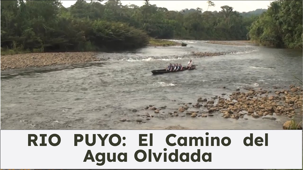 RÍO PUYO: Crónicas del Remo y la Selva.