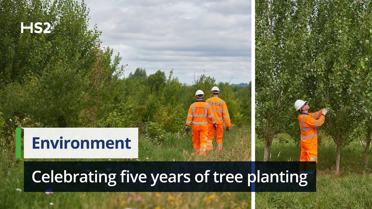 HS2 celebrates five years of tree planting and habitat creation