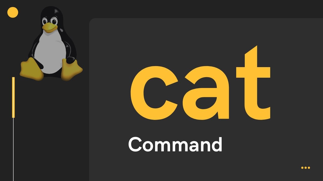 Linux cat Command | Hindi