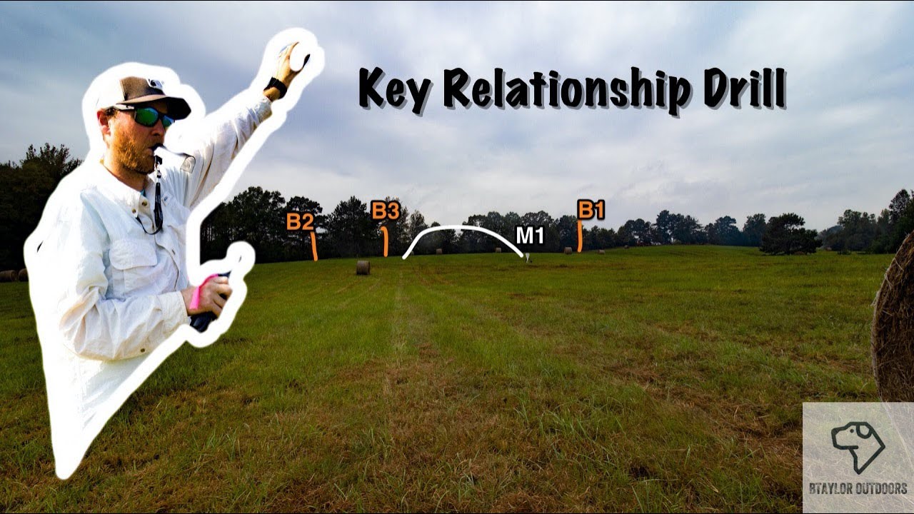 Key Relationship Drill (Retriever Training)