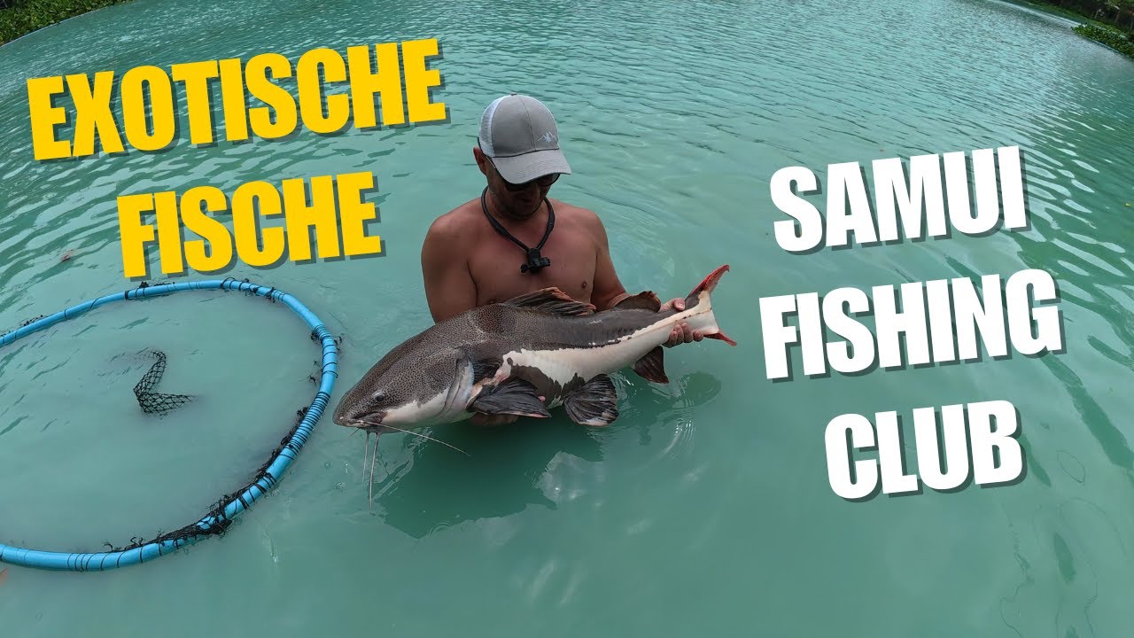 Exotische Fische im Land des Lächelns - Fischen auf Koh Samui in Thailand 🎣