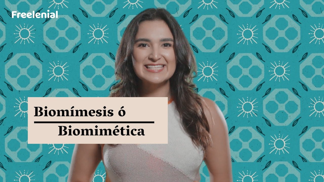 Biomímesis - Index