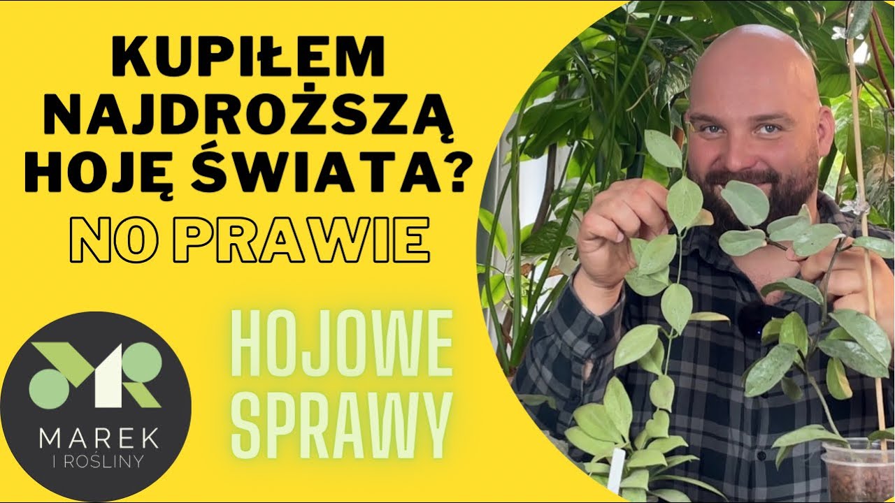 Kupiłem najdroższą hoję świata? Unboxing Hojowe sprawy i hydro zakupy