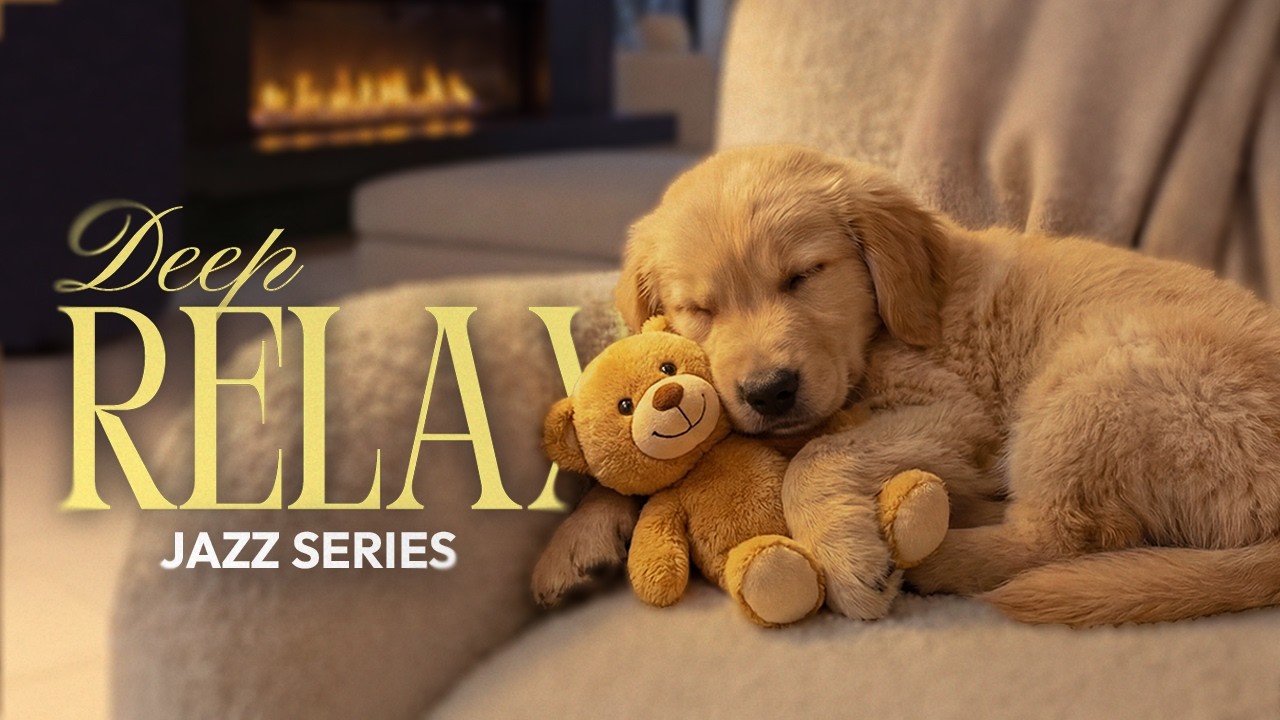 10 Hour Dog Lullaby Jazz 💤 Fireplace Ambience to Calm Stressed & Anxious Dogs