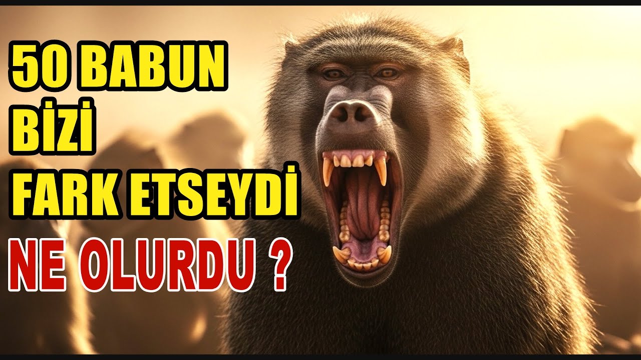 50 BABUNUN ARASINA DÜŞTÜK
