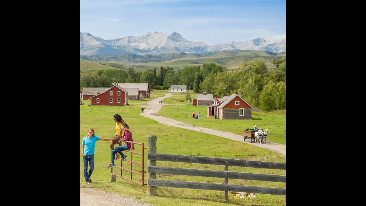 Bar U Ranch: Grass Into Money | ReCollections | Parks Canada