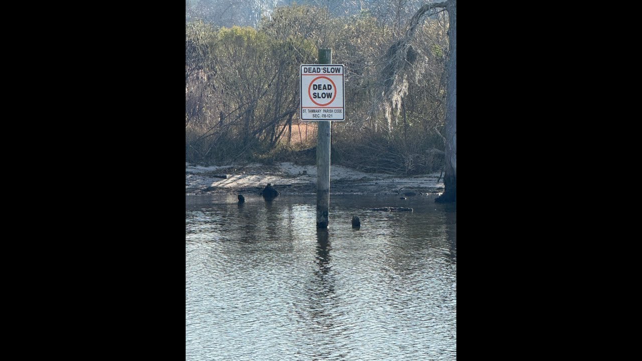 Not so daily fishing report 1/20/2026