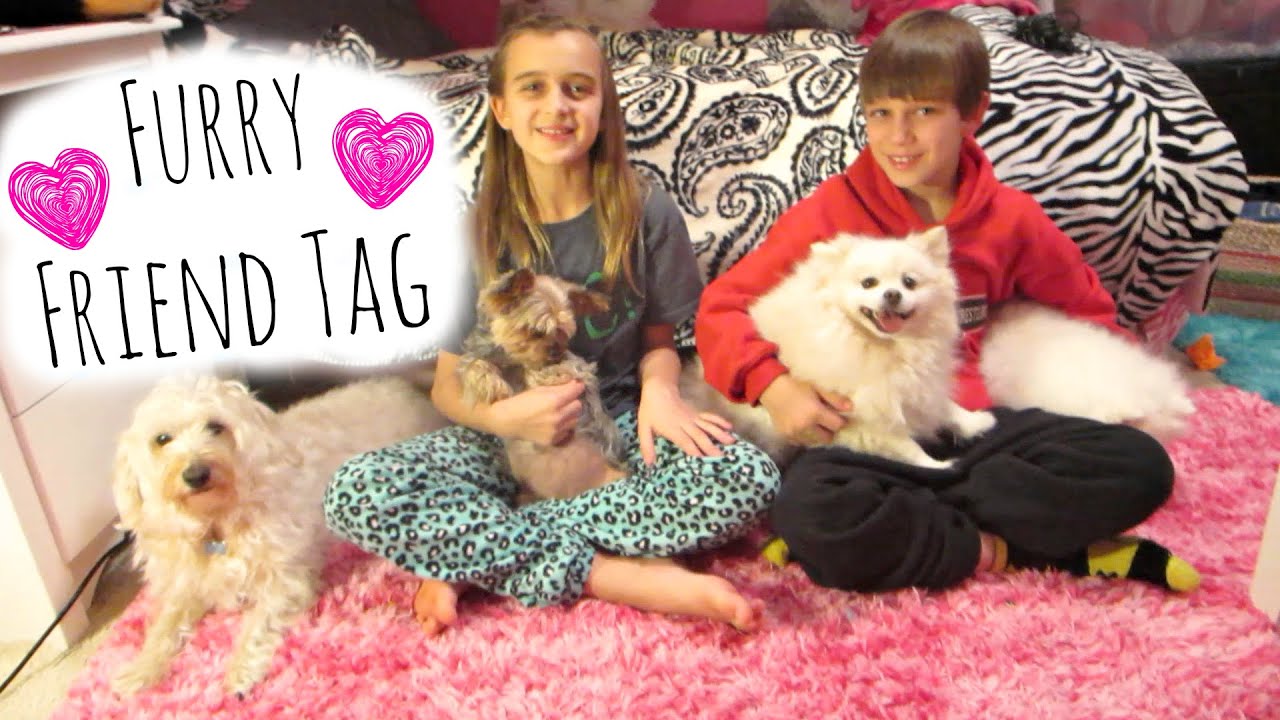 FURRY FRIEND TAG ~ CUTEST DOGS EVER!!
