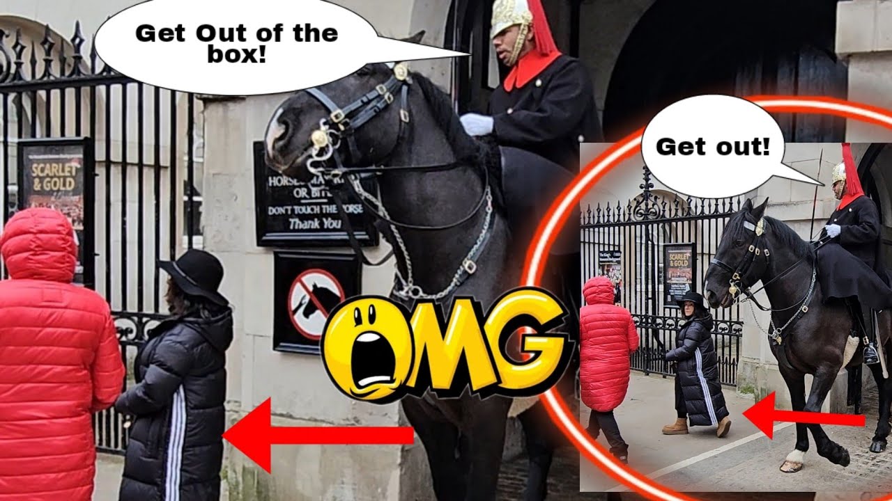 THIS HAPPENS as Kings Guard moves the horse forward to get rid of them out of the box!😳