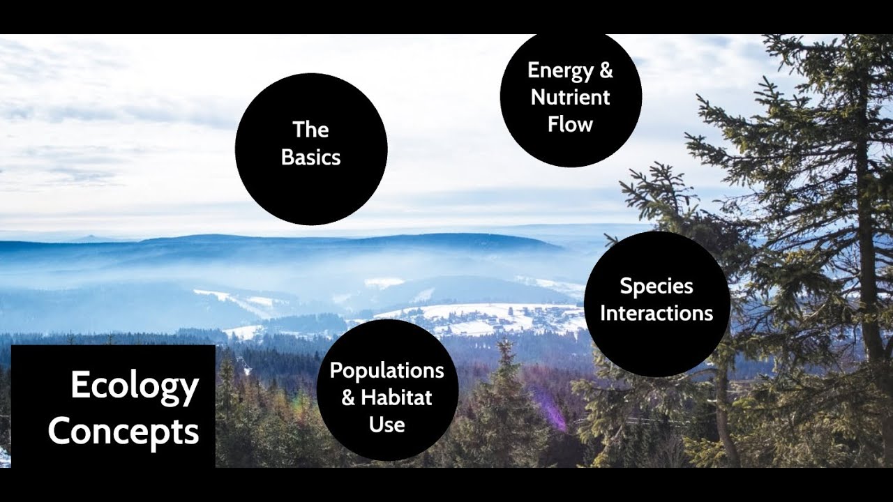 Ecology Concepts