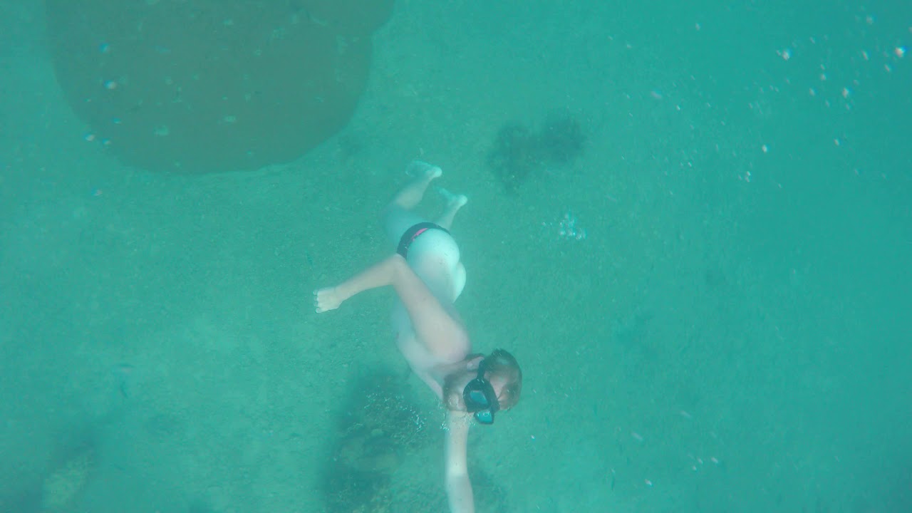 Josh free dive fart - 1
