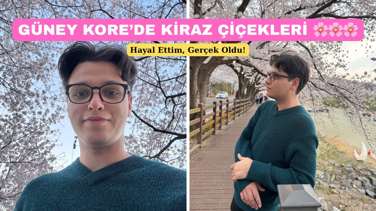 Güney Kore’de Kiraz Çiçekleriyle Dolu Bir Gün! 🌸 | Daejeon Gezi Vlogu