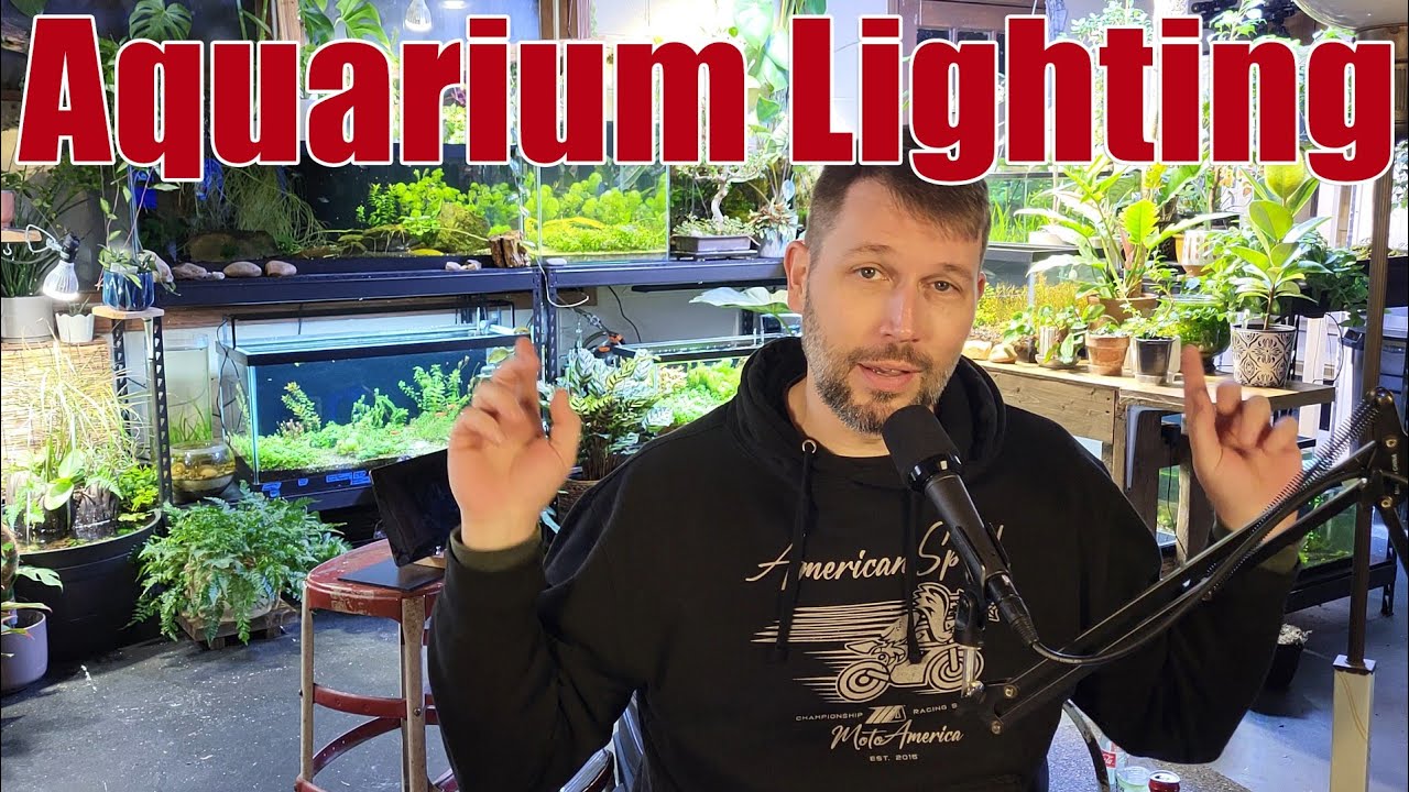 Aquarium Lighting - Cheap to Extravagant 
