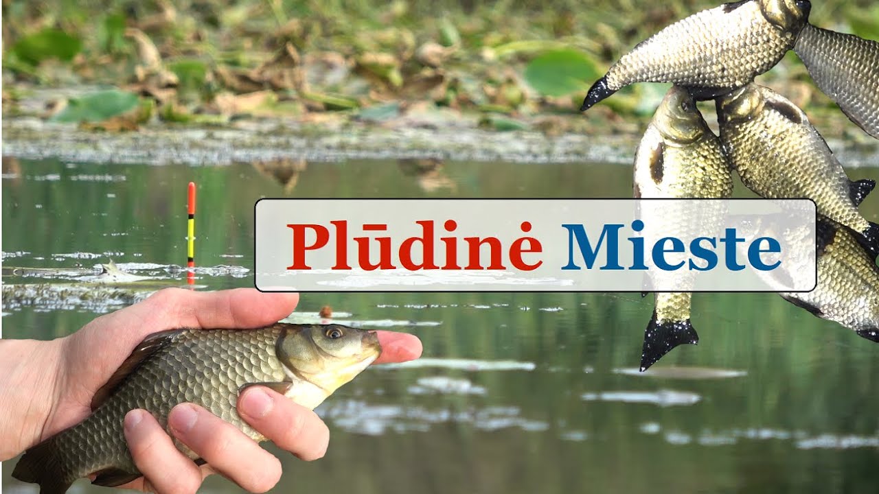 Su Plūdine Mieste - Gabrielius Ser