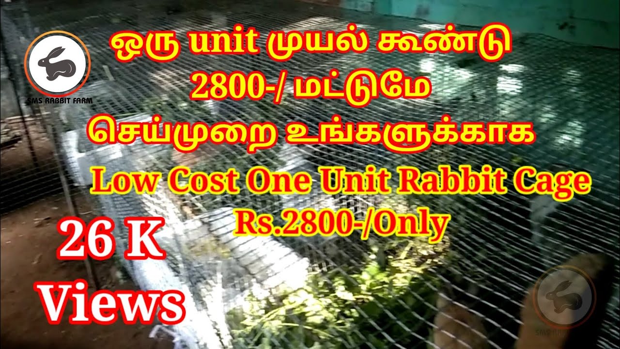 Low Rate Rabbit Cage One Unit, ஒரு Unit முயல் கூண்டு செய்யும் முறை #low cost