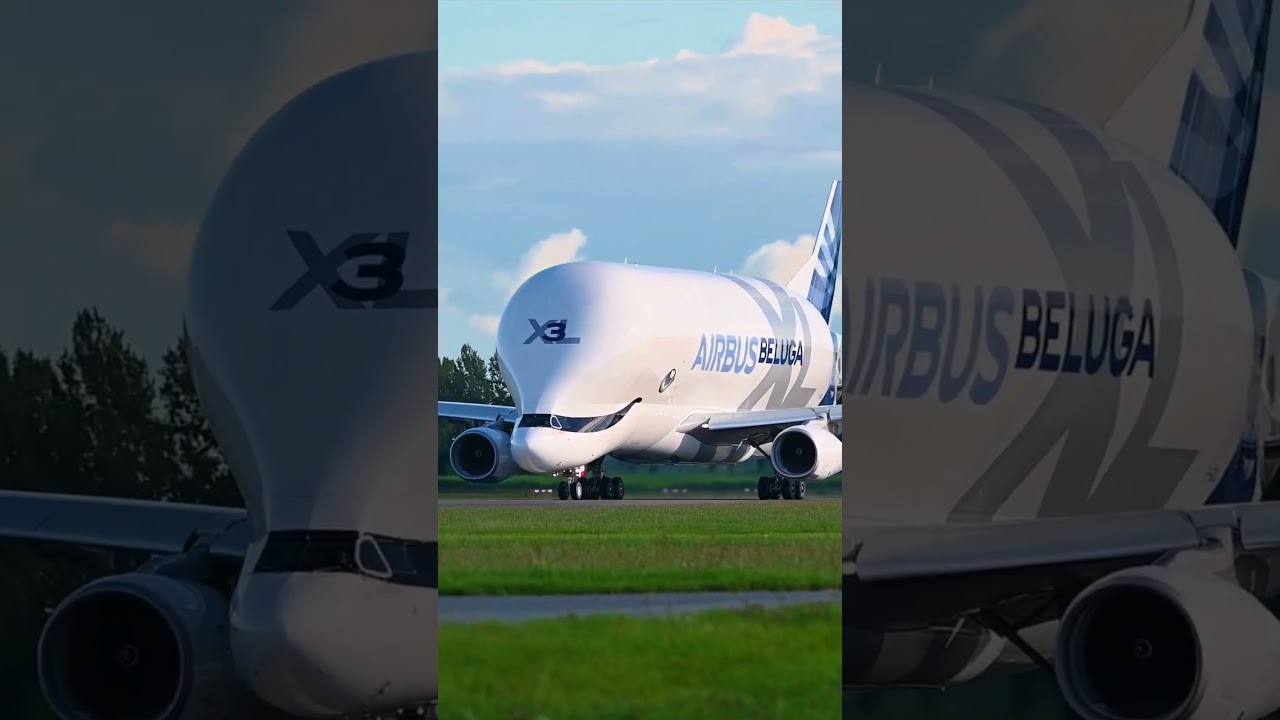 Airbus Beluga XL