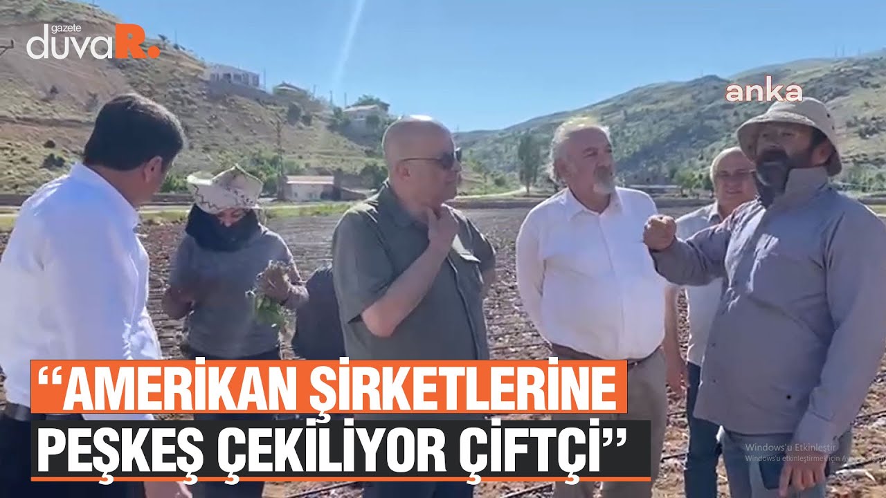 Adıyamanlı tütün üreticisi: Amerikan şirketlerine peşkeş çekiliyor çiftçi