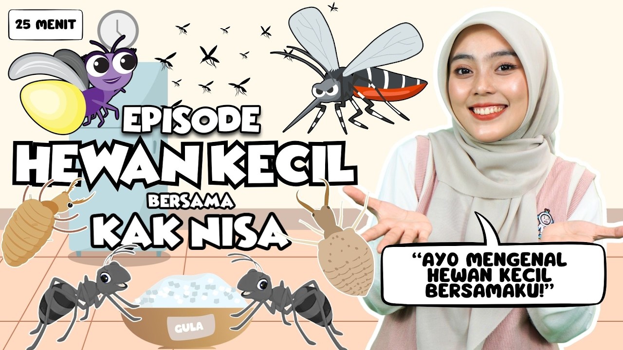 Belajar Bermain Episode Mengenal Hewan Kecil - Belajar Kata, Lagu Interaktif untuk Balita