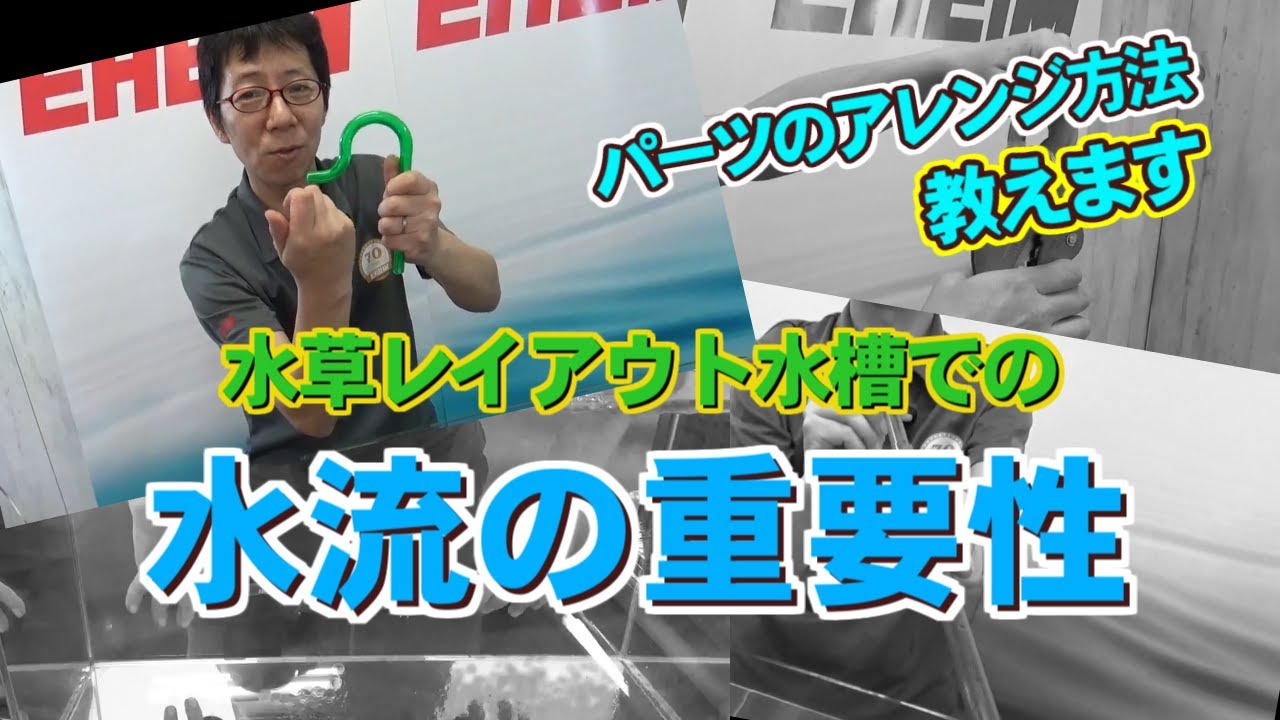 【EHEIM】水草レイアウト水槽での水流の重要性　エーハイムアンバサダー志藤範行氏
