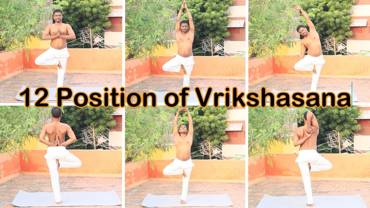 12 pose of Vrikshasana yoga benefits precautions and variations | Tree pose