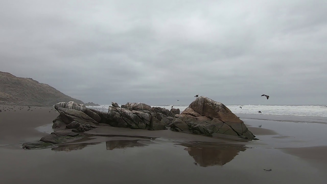 Paseo por la playa video