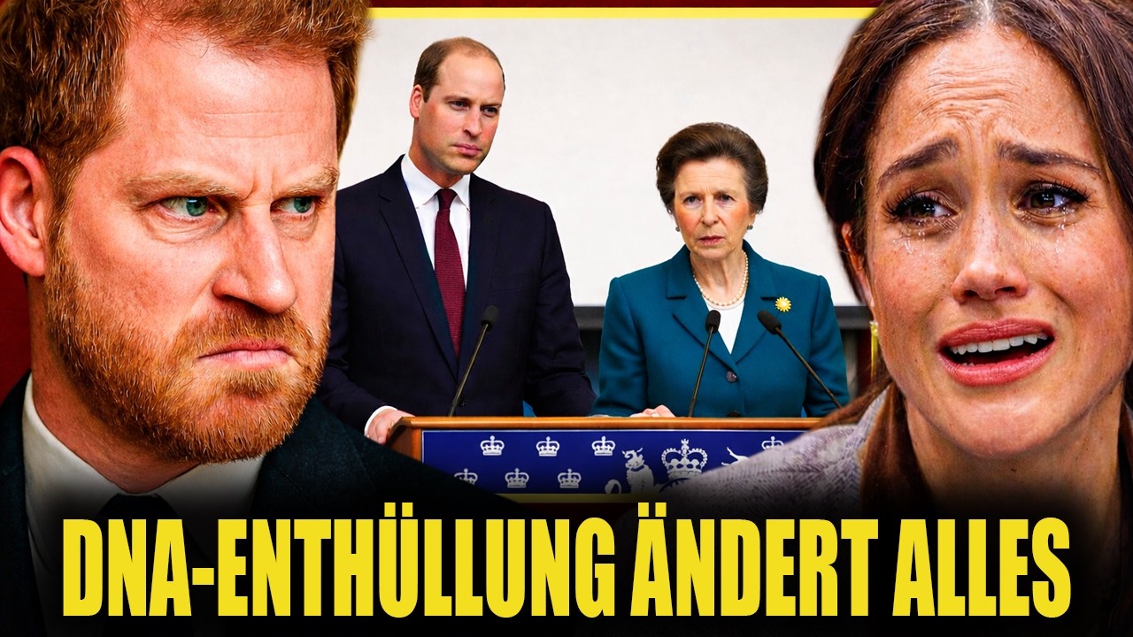 EILMELDUNG: Sorgerechtsstreit endet – Harry enthüllt, was Meghan und Andrew taten