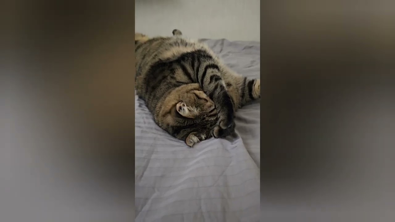 Про субботу и другое 😉😻🤗🤩
