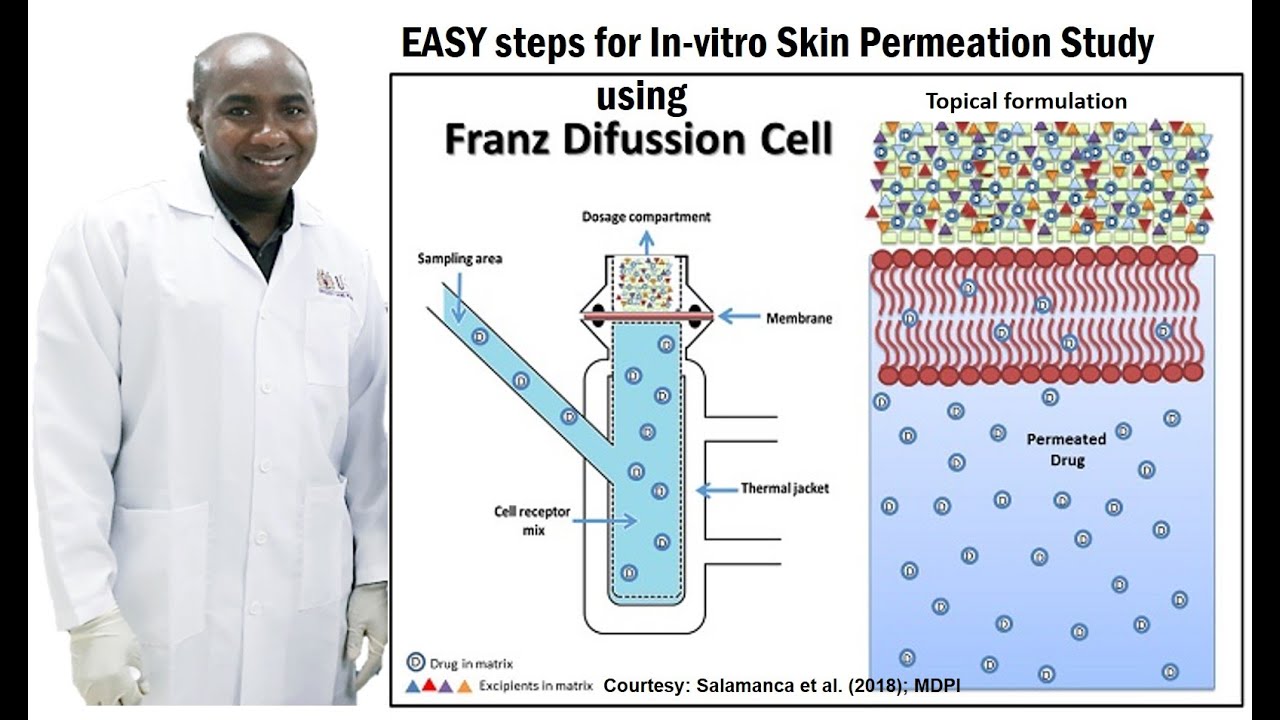 EASY steps for In-vitro Skin Permeation Study using Franz Diffusion Cell